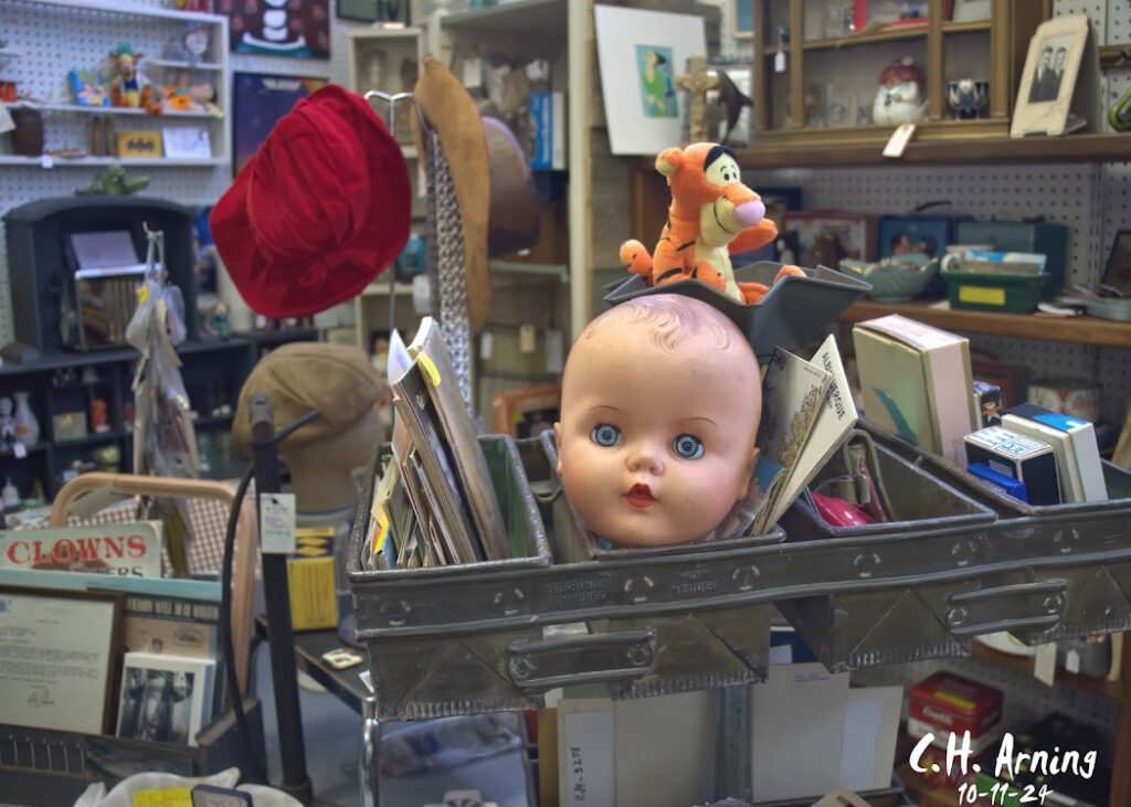 Head Case