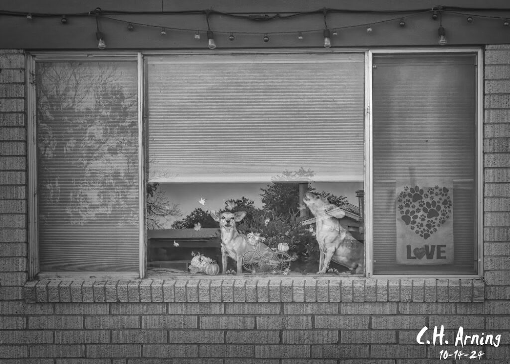 Window Watchers