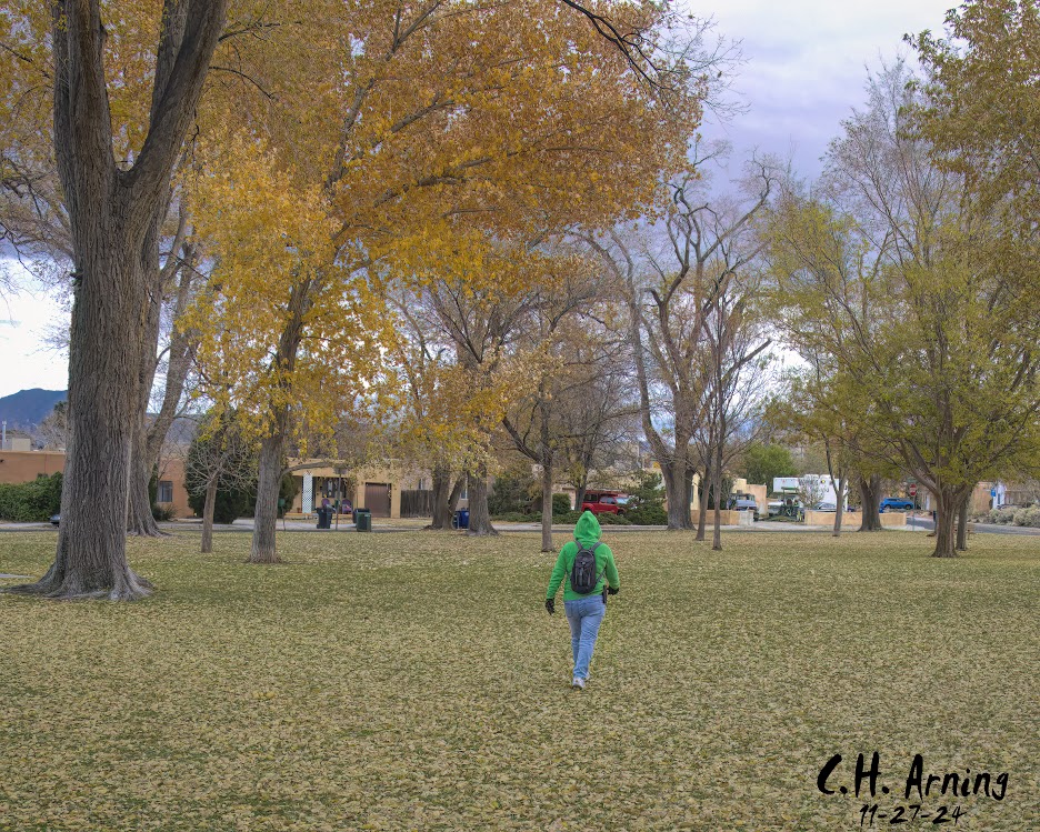 Leaf Blanket
