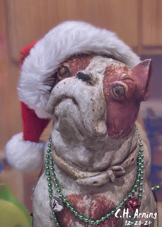 Santa Pup
