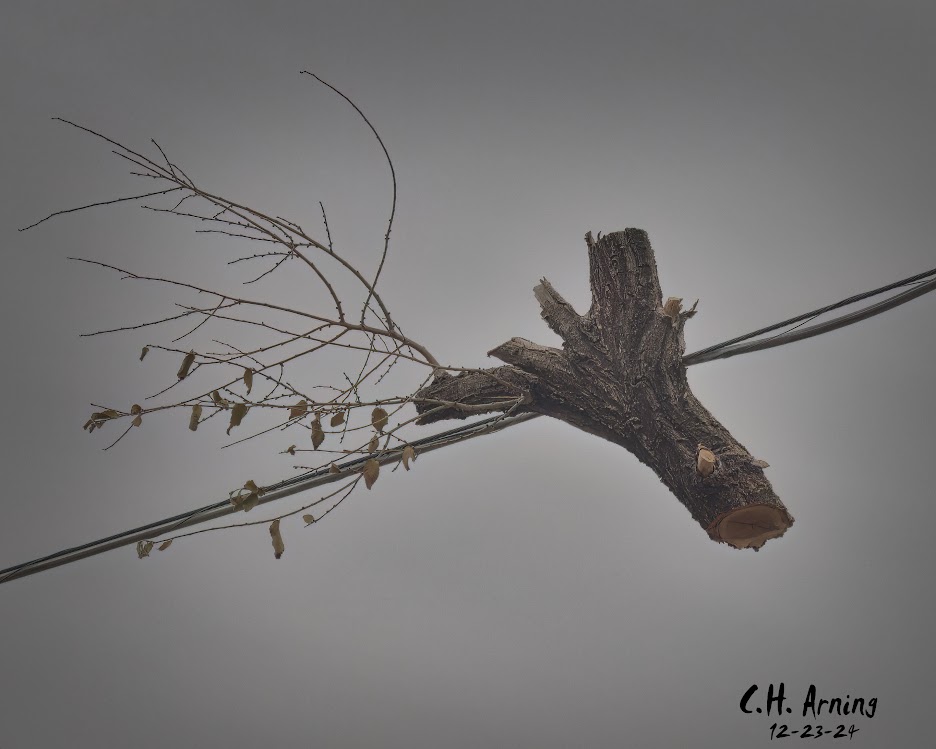 Hanging Remnant