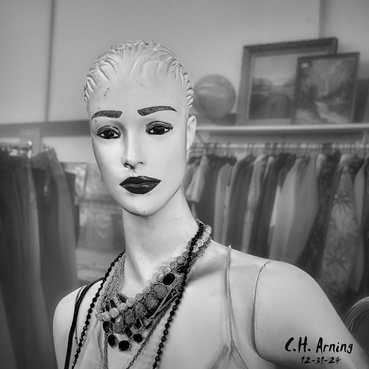 Mannequin Mystique