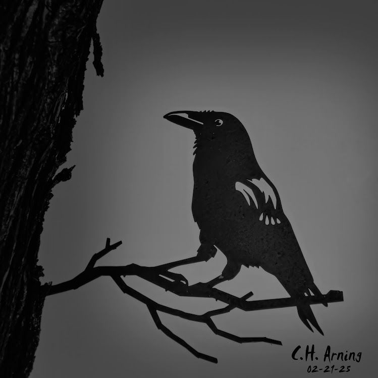 Shadow Perch