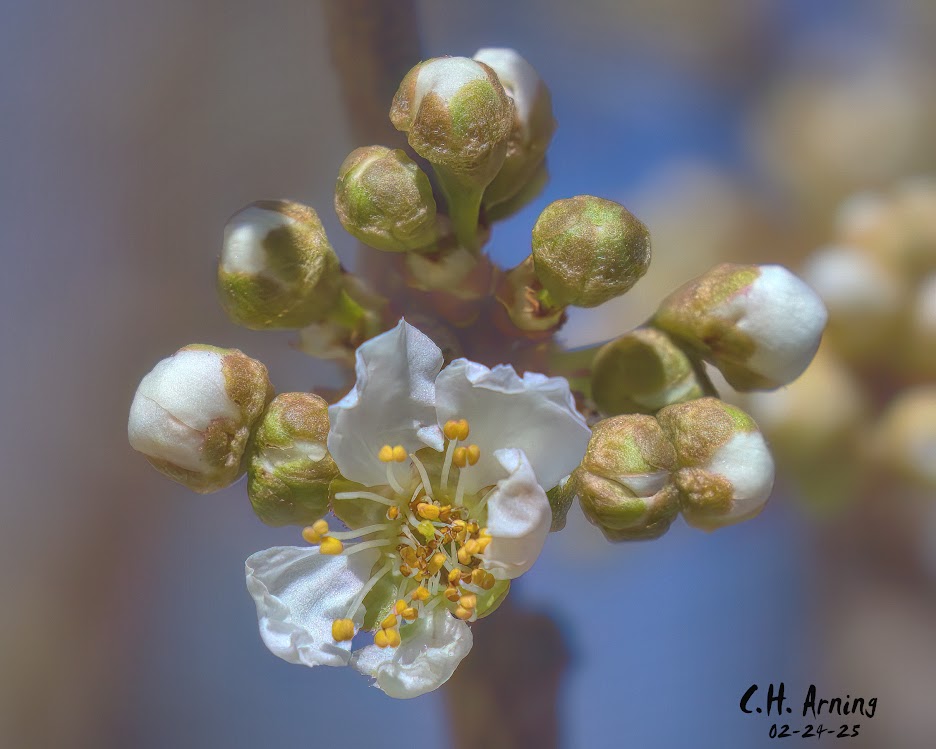 Fresh Beginning