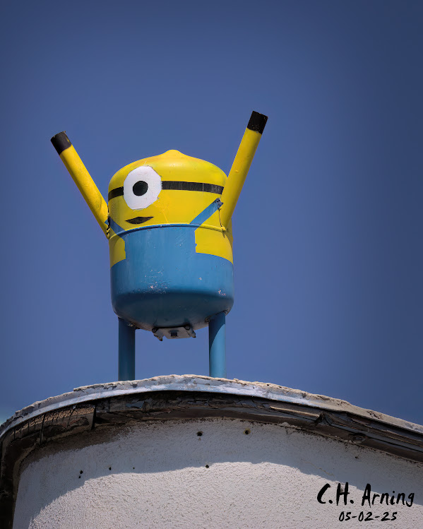 Roof Minion