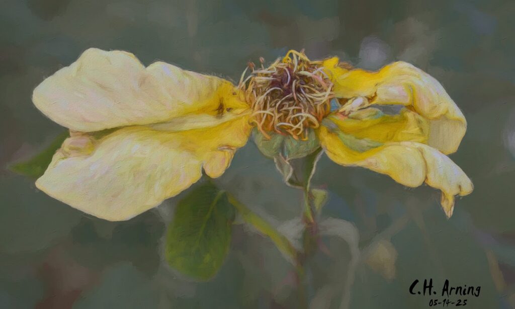 Delicate Decay