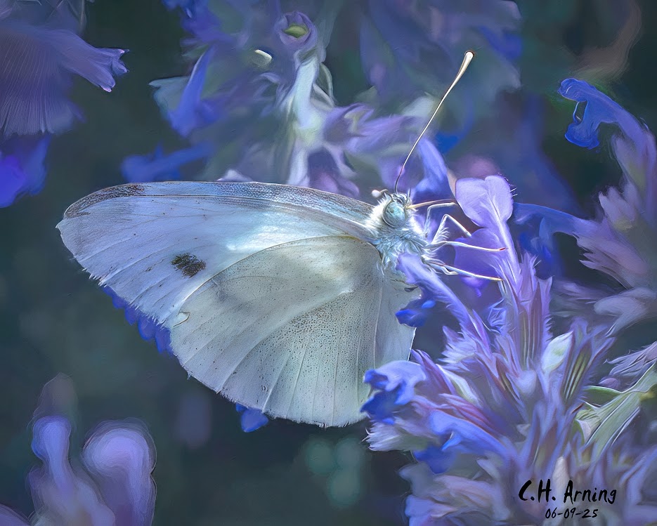 Gentle Landing
