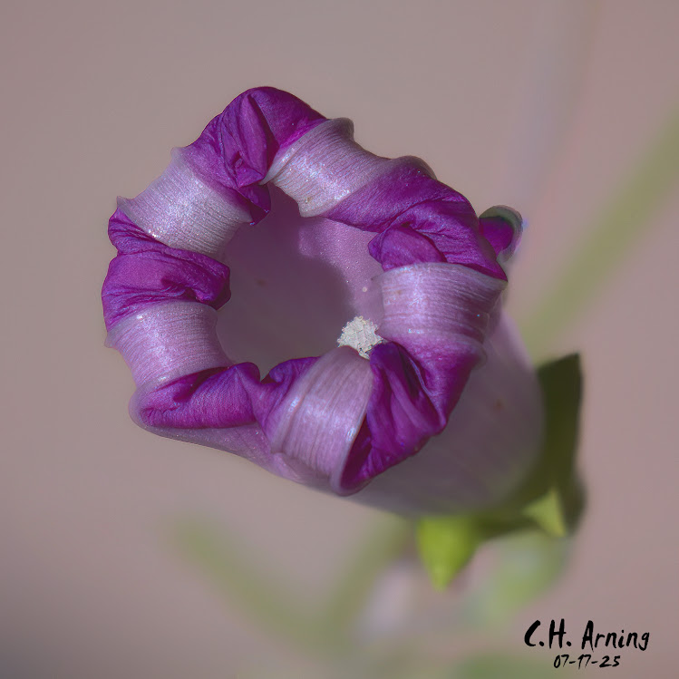 Tightly Wound