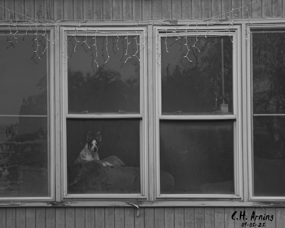 Lonely Lookout