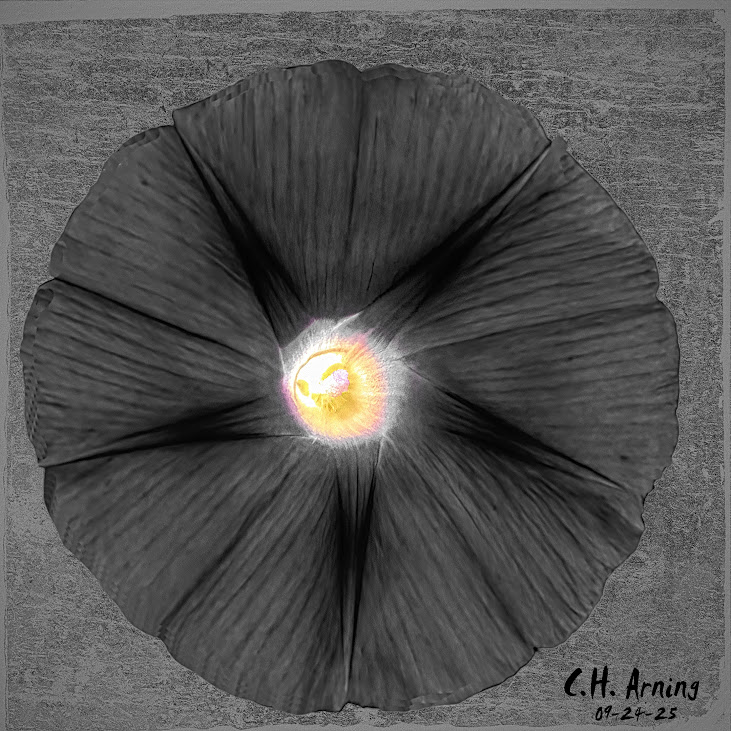 Inner Fire