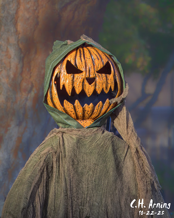 Autumn Sentinel
