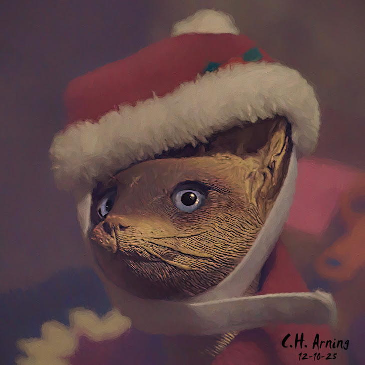 Holiday Mischief