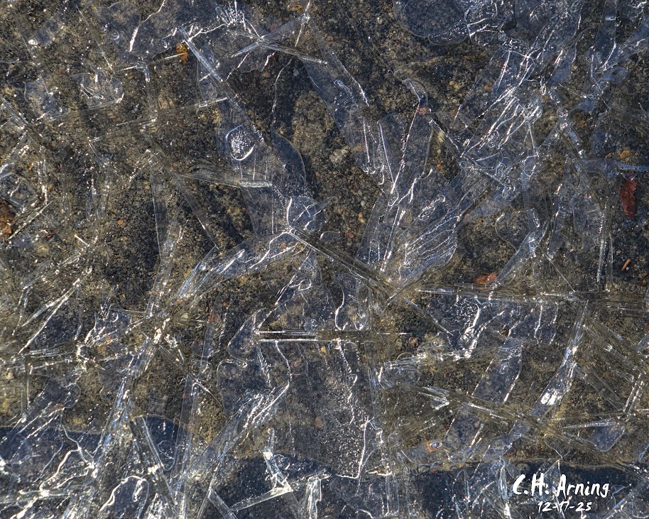 Cold Mosaic