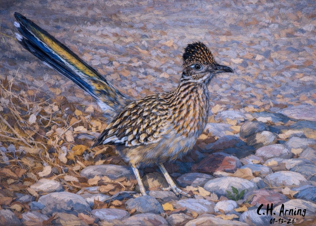 Sunlit Runner