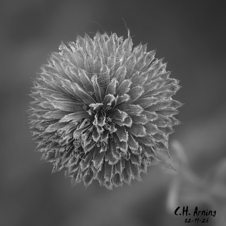 Silent Geometry