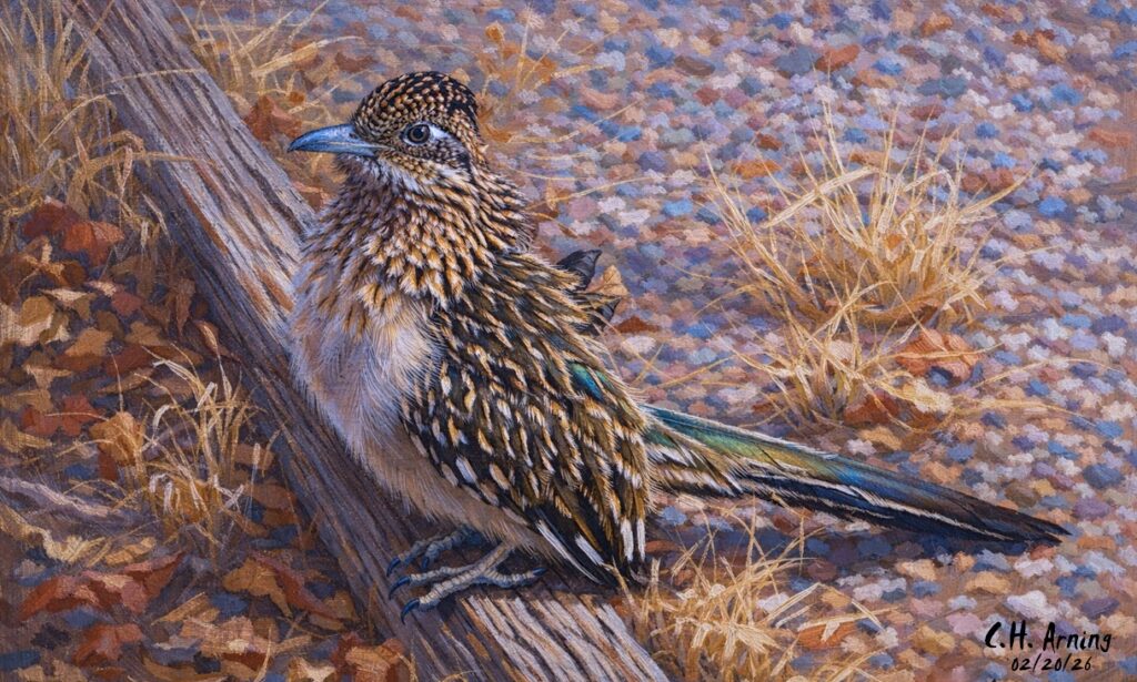Roadside Monarch