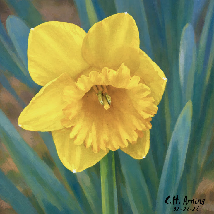 Spring Signal