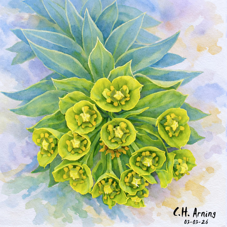Spring Geometry