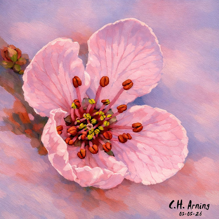 Spring Blossom