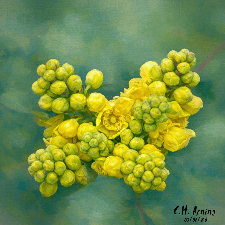 Yellow Awakening
