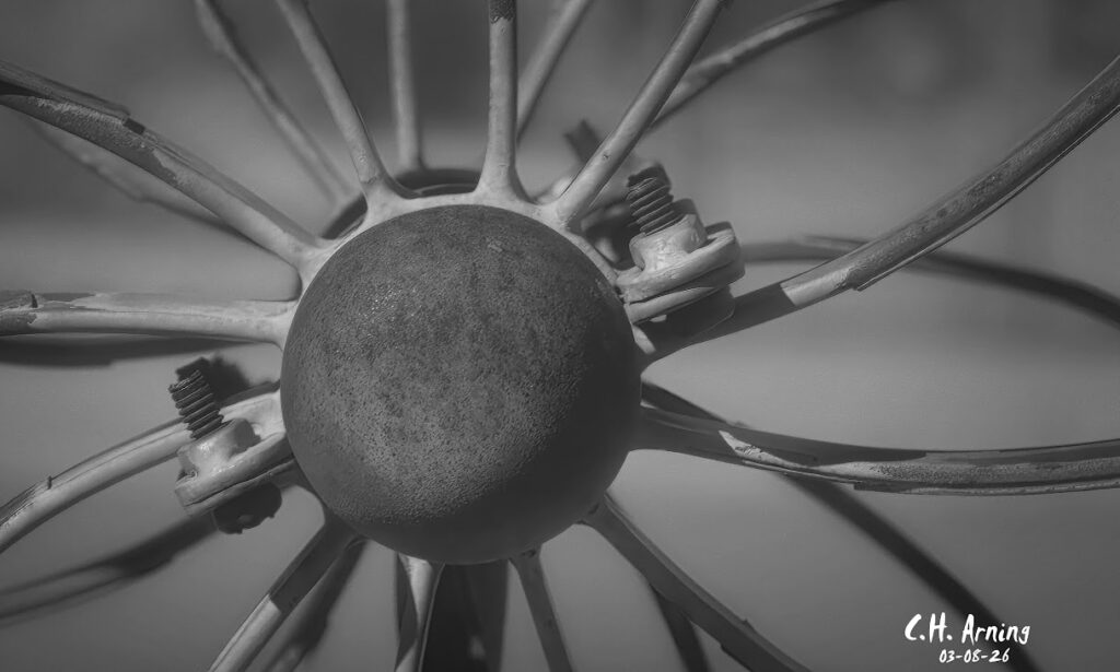 Mechanical Bloom