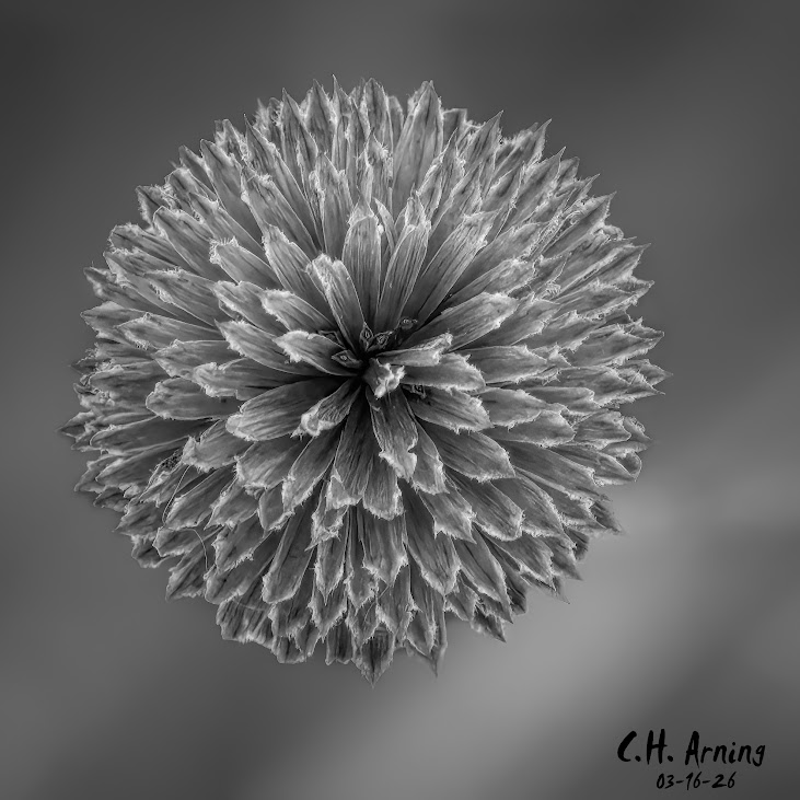 Quiet Geometry
