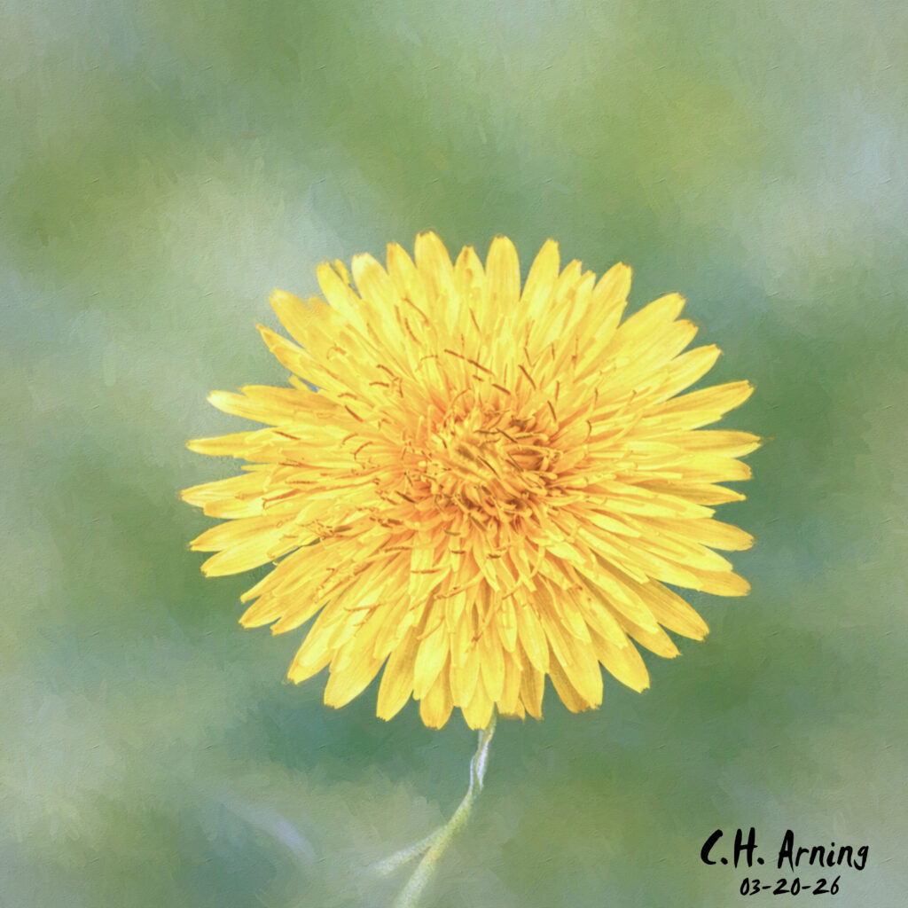 Yellow Whisper