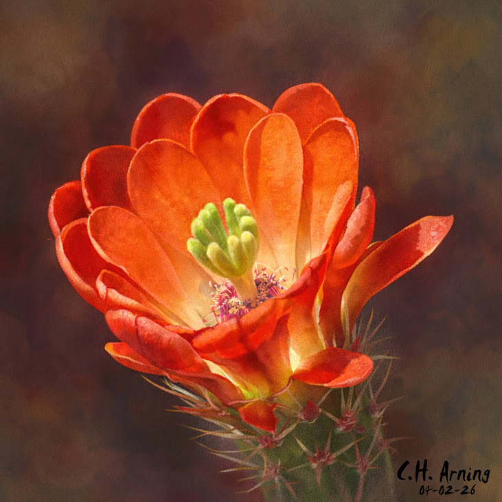 Spring Ember
