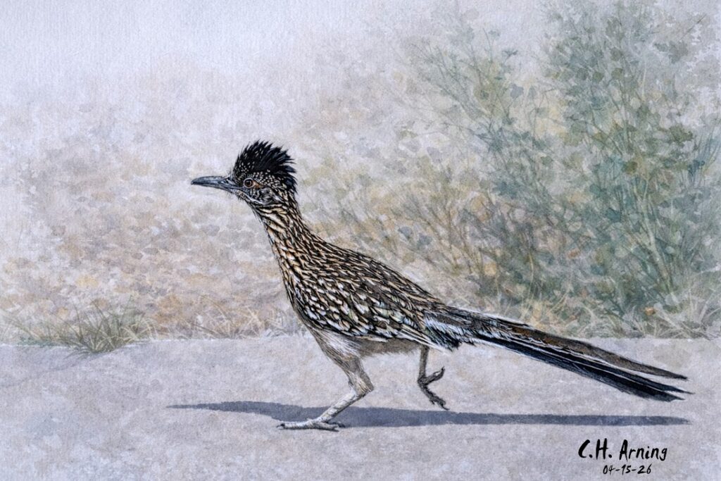 Roadside Runner